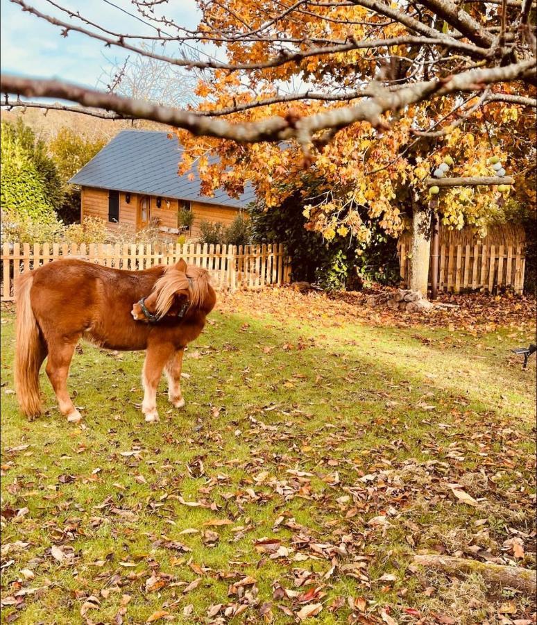 Cottage Normand Avec Sa Grande Piscine Chauffee Toute L Annee Sur Parc Arbore Et Clos En Plein Coeur De La Campagne Adapte Aux Kids Et Dog Friendly Saint-Antonin-de-Sommaire Dış mekan fotoğraf