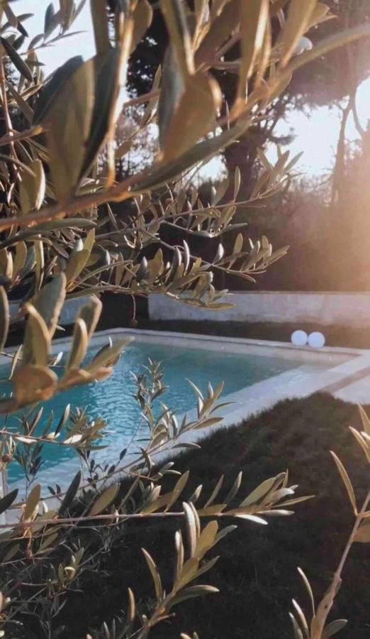 Cottage Normand Avec Sa Grande Piscine Chauffee Toute L Annee Sur Parc Arbore Et Clos En Plein Coeur De La Campagne Adapte Aux Kids Et Dog Friendly Saint-Antonin-de-Sommaire Dış mekan fotoğraf