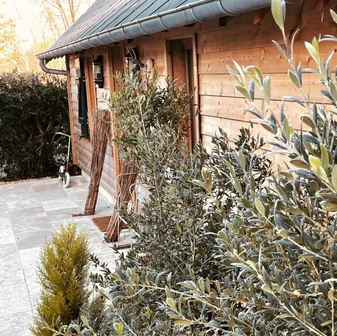 Cottage Normand Avec Sa Grande Piscine Chauffee Toute L Annee Sur Parc Arbore Et Clos En Plein Coeur De La Campagne Adapte Aux Kids Et Dog Friendly Saint-Antonin-de-Sommaire Dış mekan fotoğraf