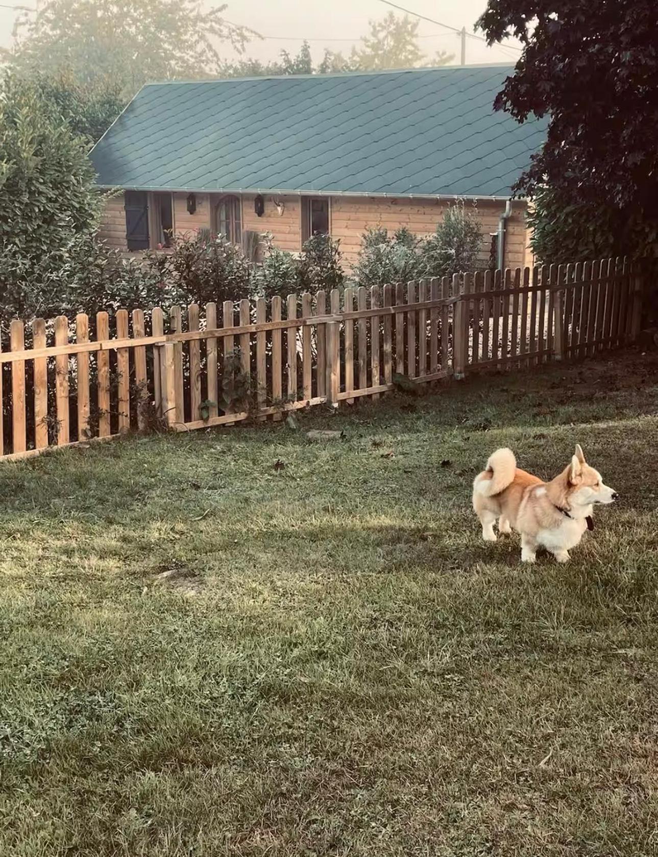 Cottage Normand Avec Sa Grande Piscine Chauffee Toute L Annee Sur Parc Arbore Et Clos En Plein Coeur De La Campagne Adapte Aux Kids Et Dog Friendly Saint-Antonin-de-Sommaire Dış mekan fotoğraf